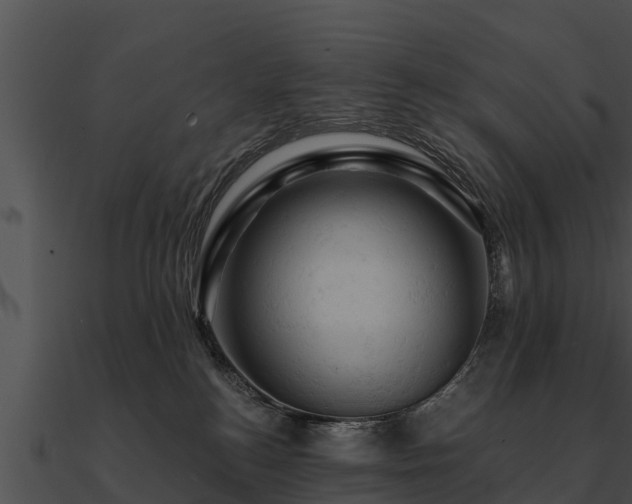 X0000090890184200708031100