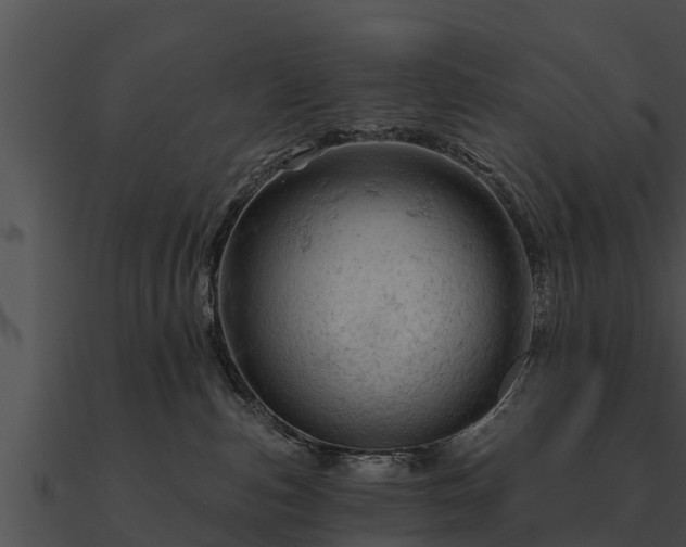 X0000090890187200708031100