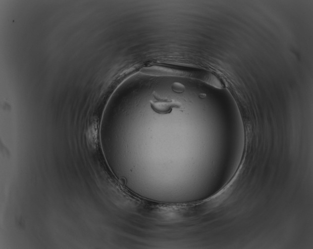 X0000090890190200708031100