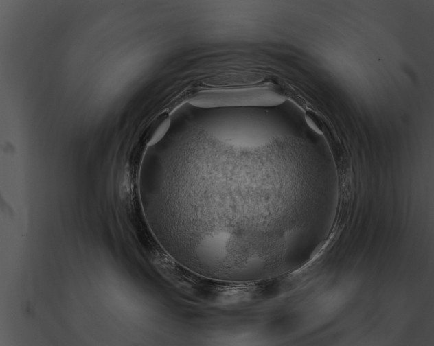 X0000090890191200708031100