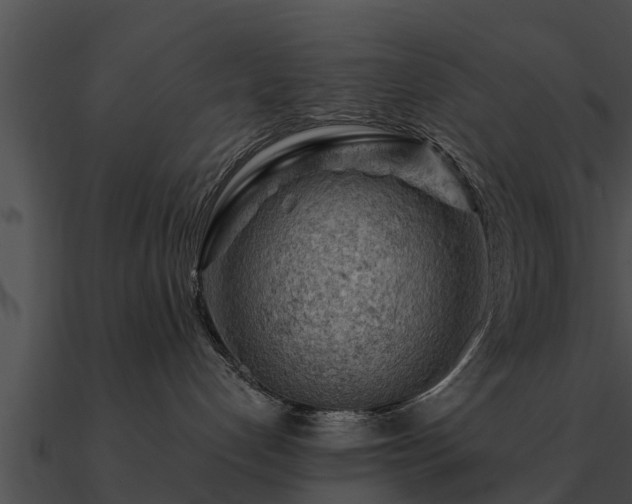 X0000090890192200708031100