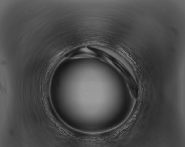 X0000090890193200708031100