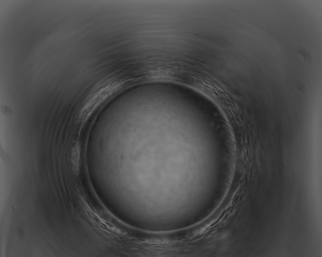 X0000090890194200708031100