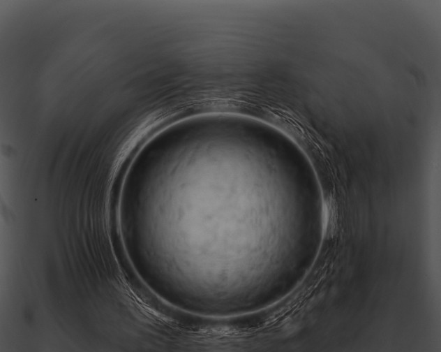 X0000090890195200708031100