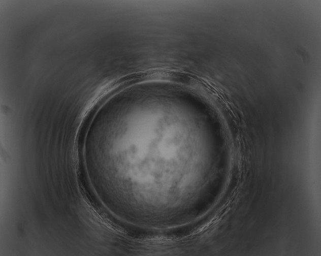 X0000090890198200708031100