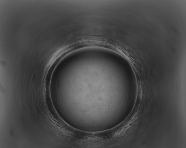 X0000090890199200708031100