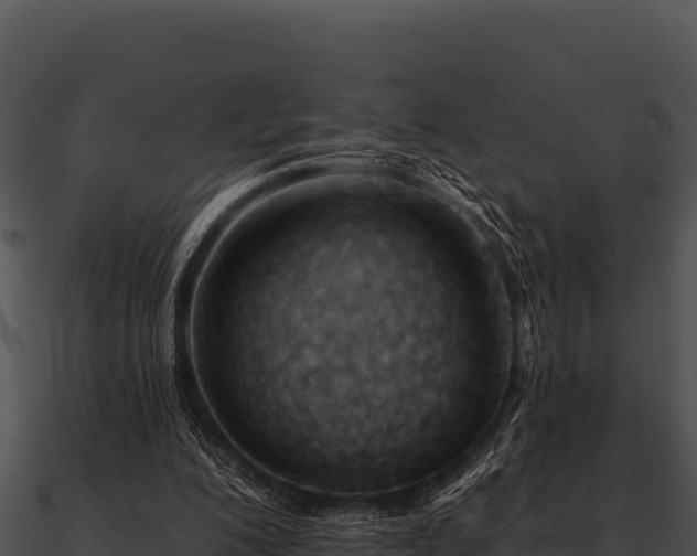 X0000090890200200708031100