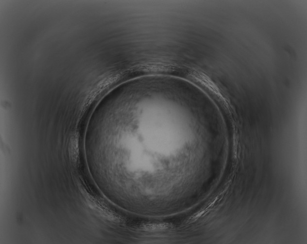 X0000090890202200708031100