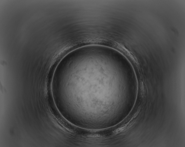 X0000090890203200708031100