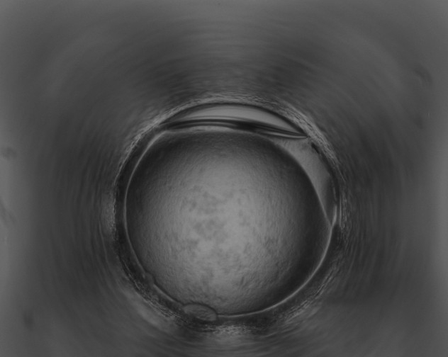 X0000090890204200708031100