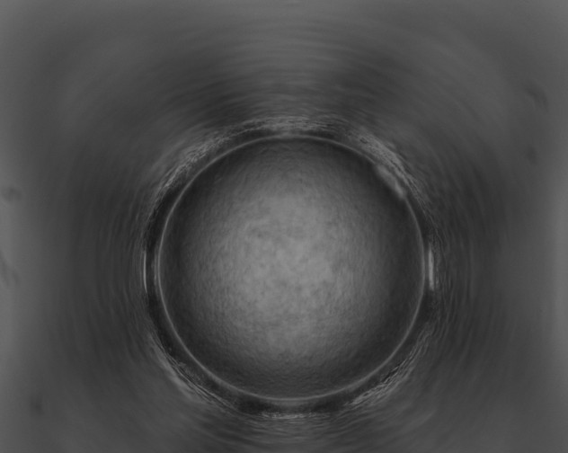 X0000090890205200708031100