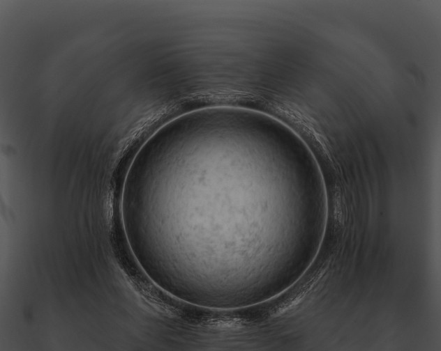 X0000090890206200708031100