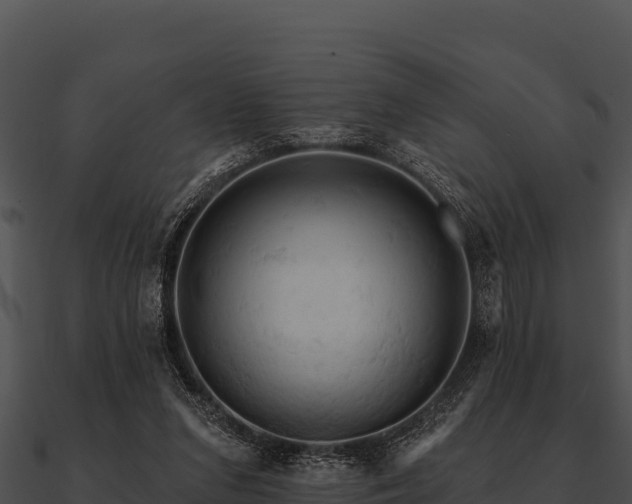 X0000090890207200708031100