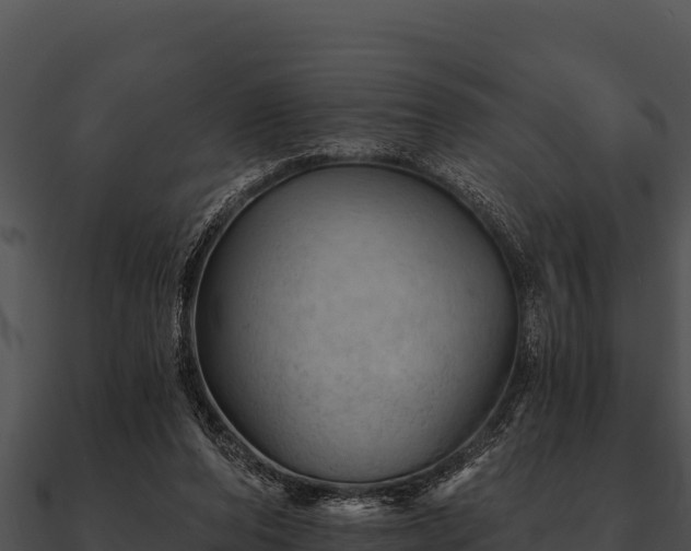 X0000090890208200708031059