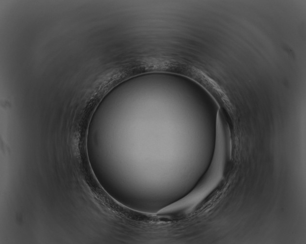 X0000090890209200708031059