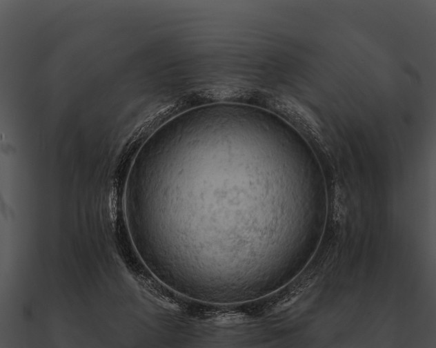 X0000090890210200708031059