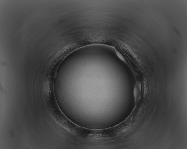 X0000090890211200708031059