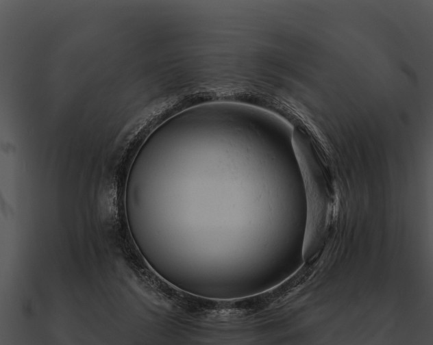 X0000090890212200708031059