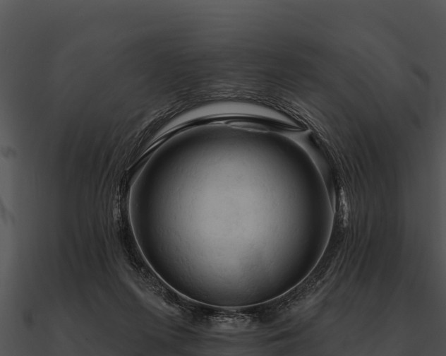 X0000090890215200708031059