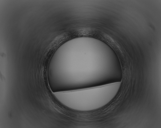 X0000090890217200708031059