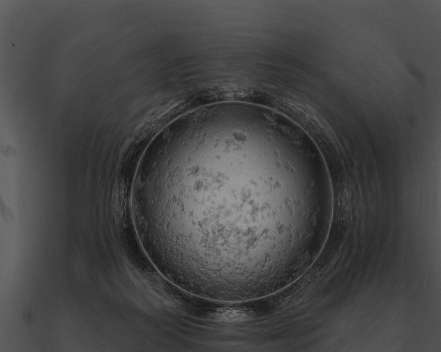 X0000090890218200708031059