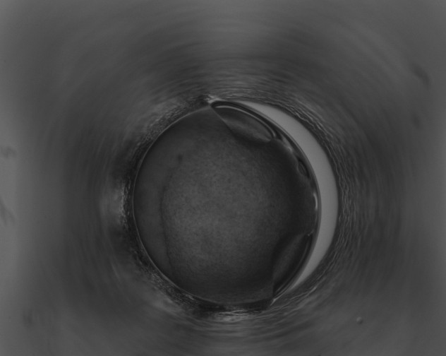 X0000090890219200708031059