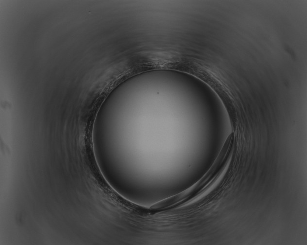 X0000090890221200708031059