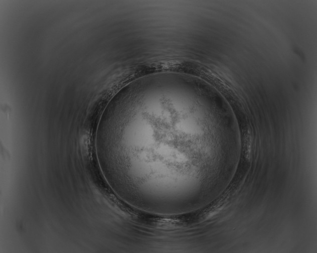 X0000090890222200708031059