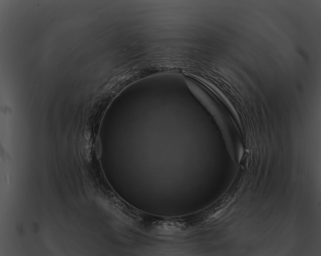 X0000090890223200708031059