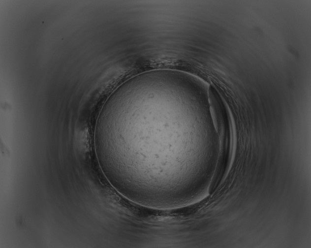 X0000090890224200708031059