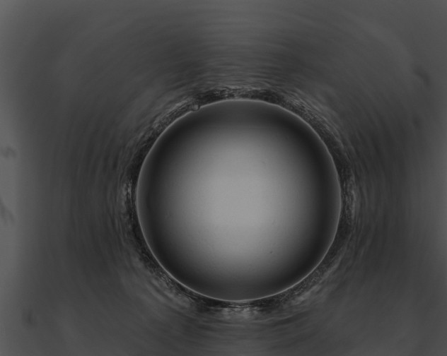 X0000090890225200708031059