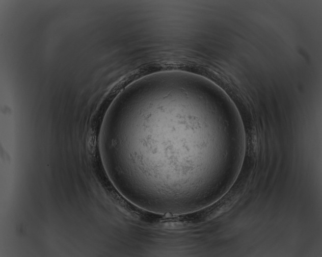 X0000090890228200708031059