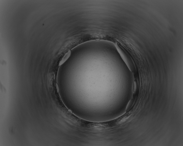 X0000090890229200708031059