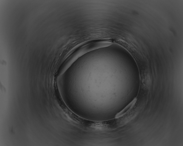 X0000090890231200708031059