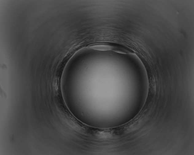 X0000090890232200708031059