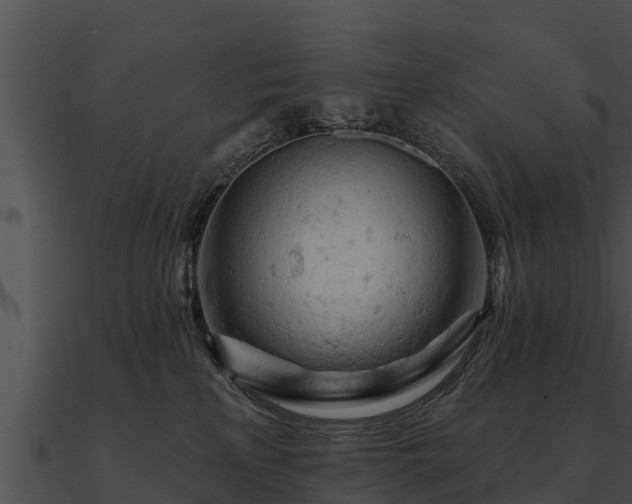 X0000090890233200708031059