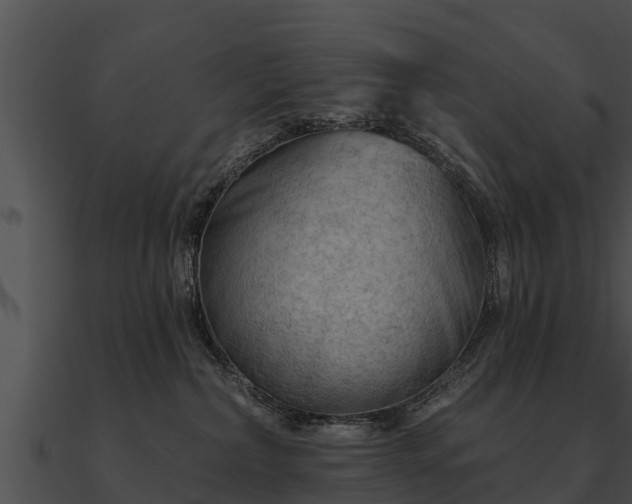 X0000090890236200708031059