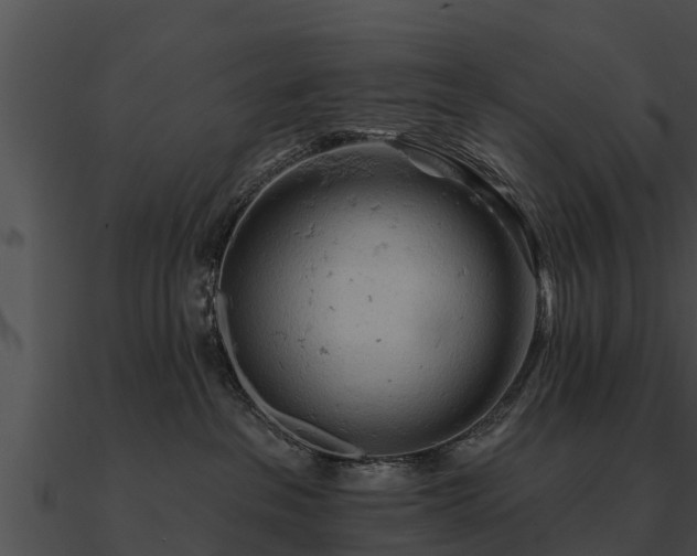 X0000090890237200708031059