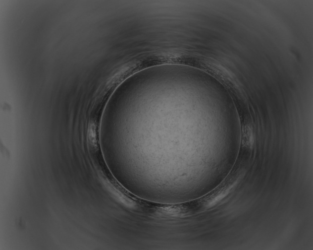 X0000090890238200708031059