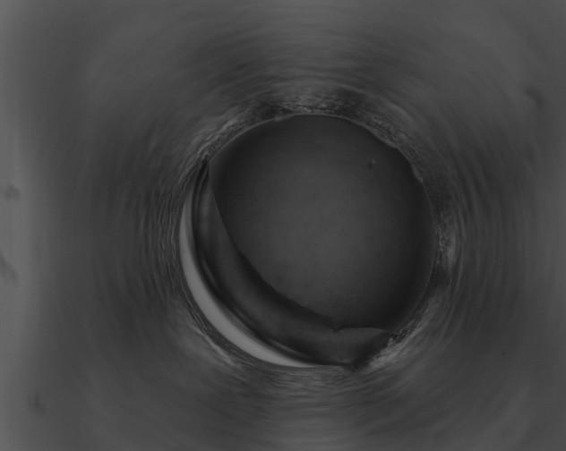 X0000090890239200708031059