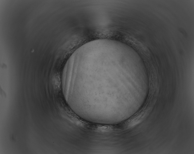 X0000090890240200708031059