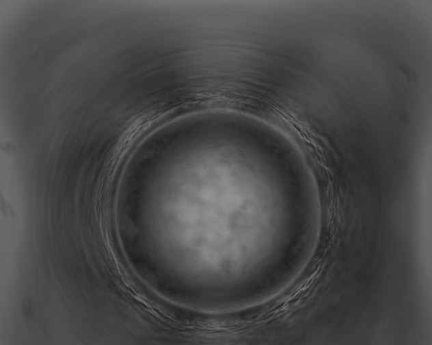 X0000090890241200708031058