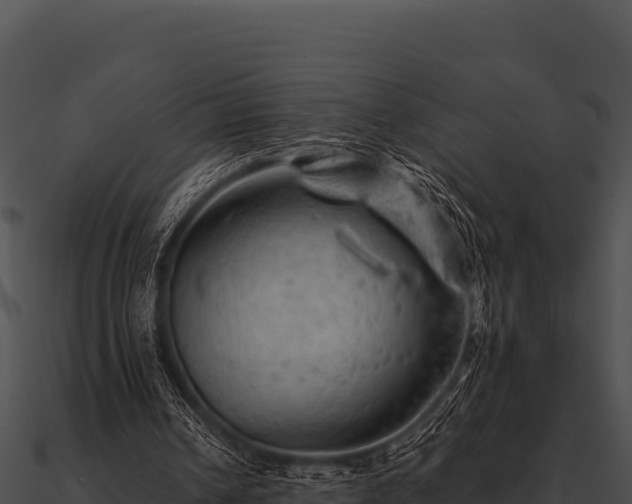 X0000090890242200708031058