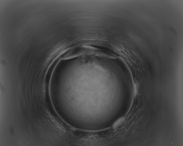 X0000090890243200708031058