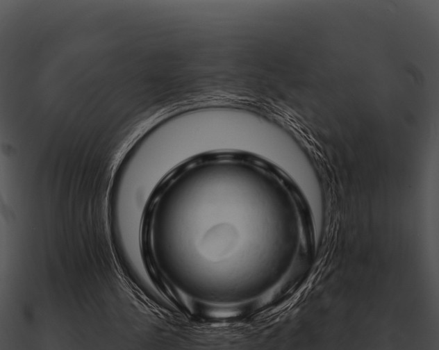 X0000090890244200708031059