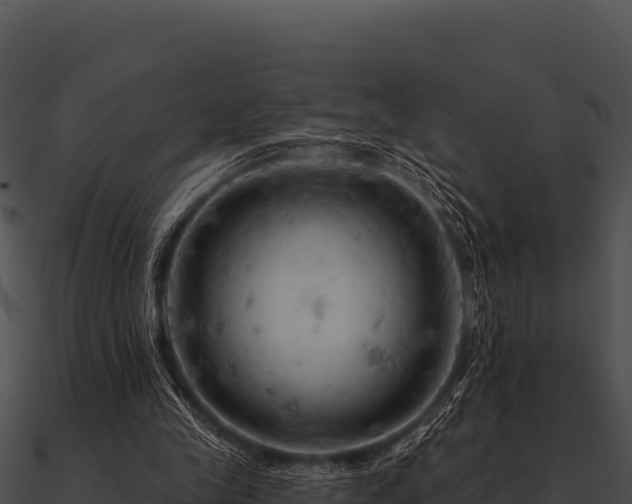 X0000090890245200708031059