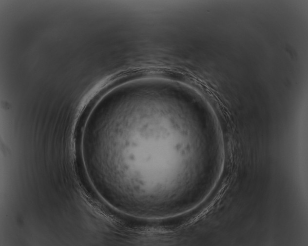 X0000090890246200708031059