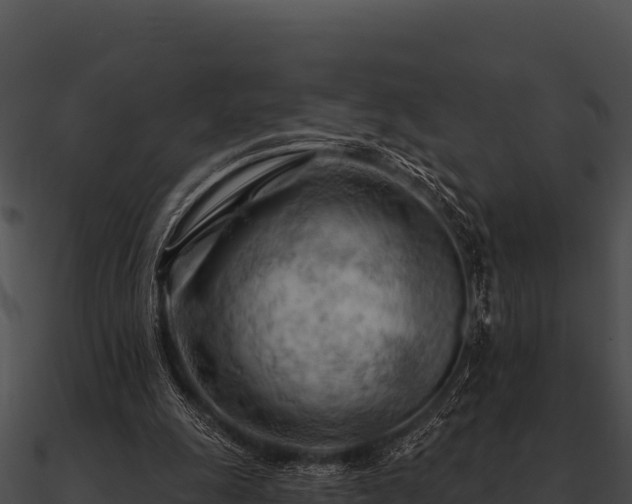 X0000090890247200708031059