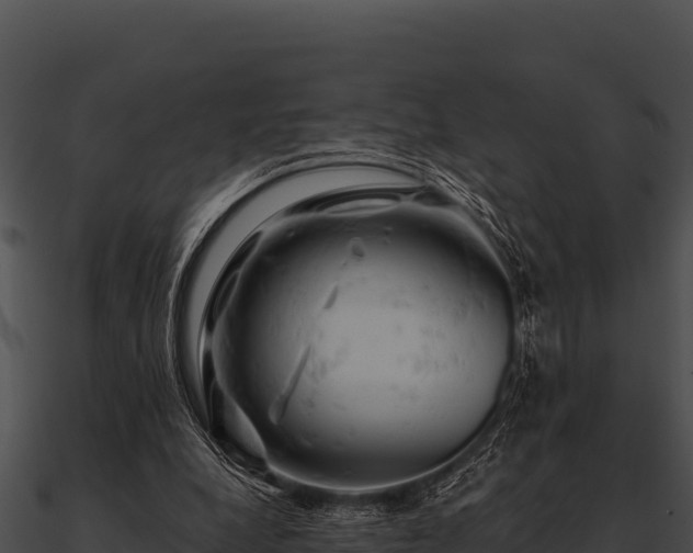 X0000090890248200708031059