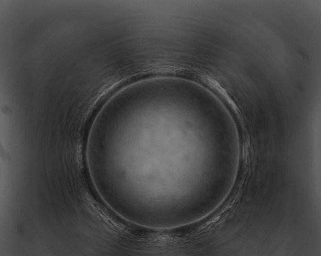 X0000090890249200708031059